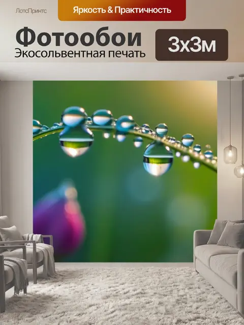 Фотообои цветы с каплями росы в утреннем свете