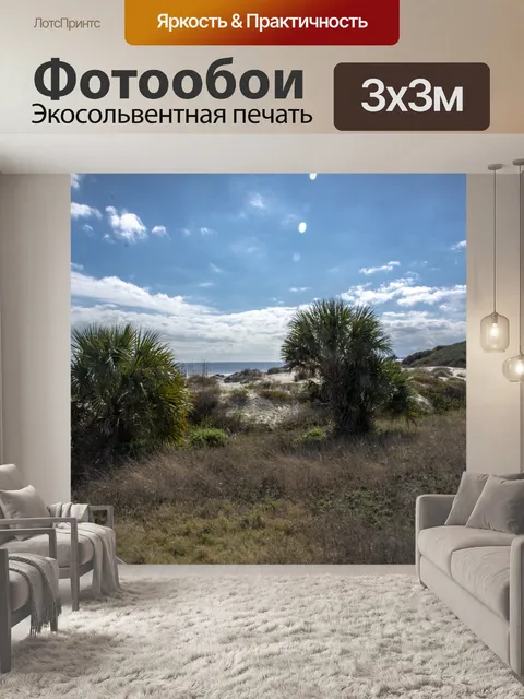 Фотообои пальмы в песчаных дюнах