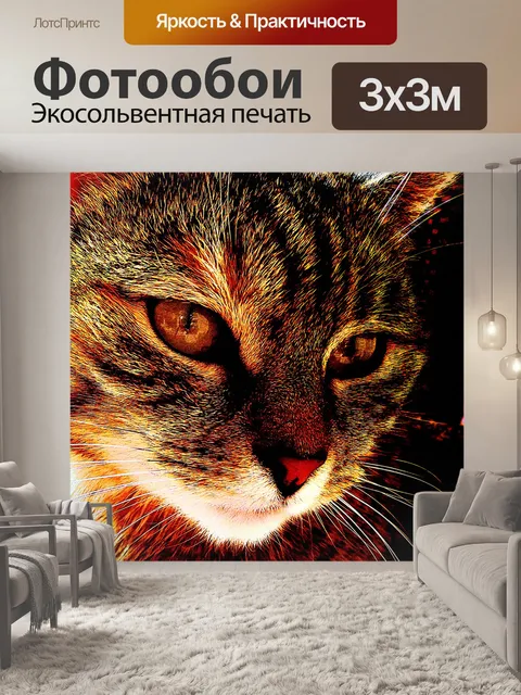 Фотообои Кошка фоне