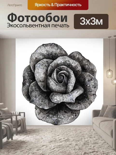 Фотообои Черное и белое