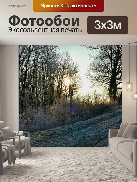 Фотообои Лес