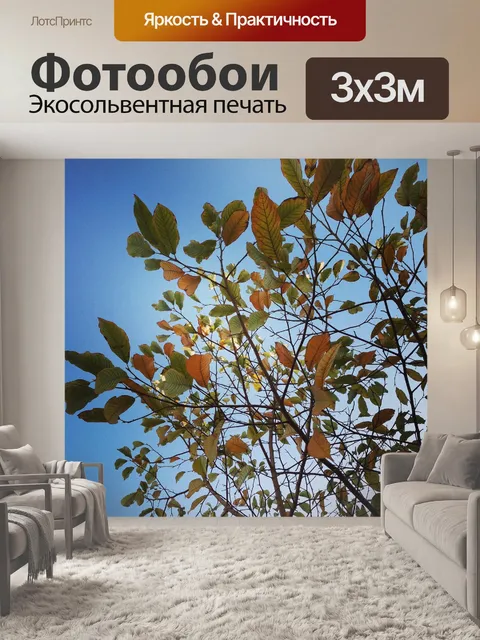 Фотообои Красные листья