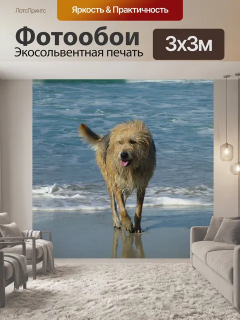 Фотообои Собака