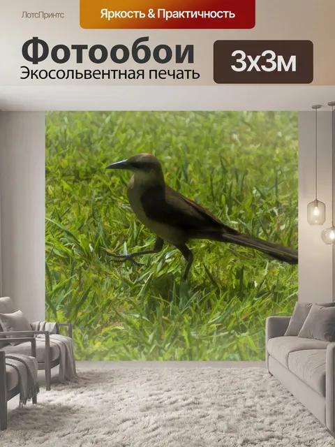 Фотообои Мина птица