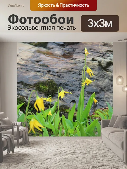 Фотообои Желтые горные цветы