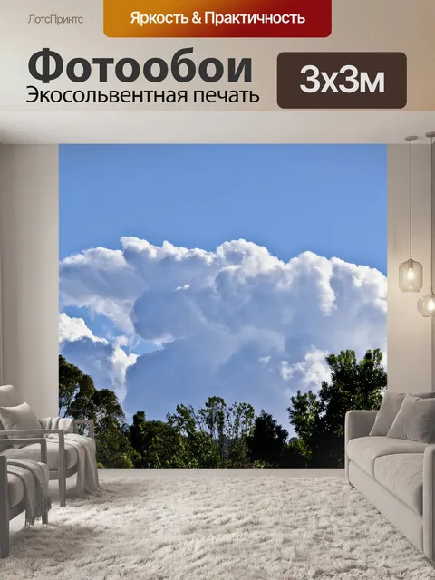 Фотообои Облака над линией деревьев
