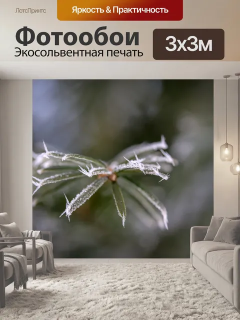 Фотообои Сосновая хвоя