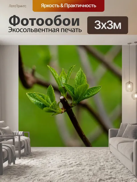 Фотообои Весна