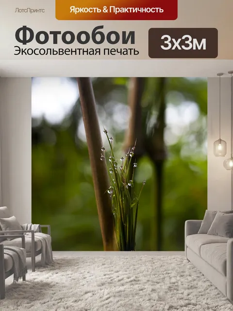 Фотообои Капли дождя