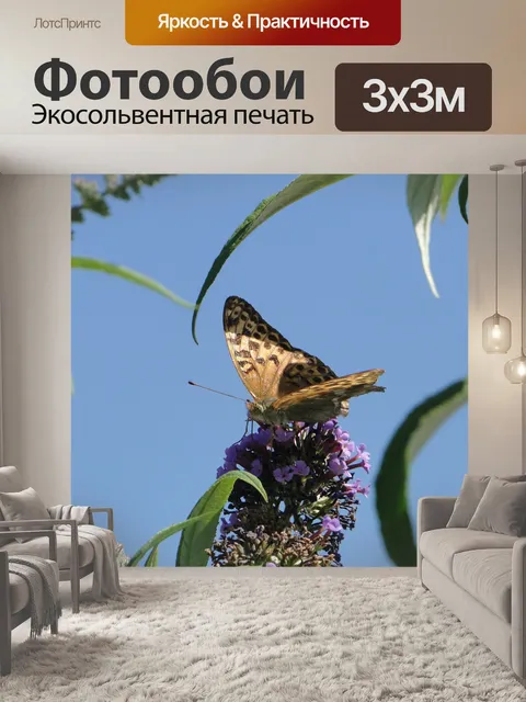 Фотообои Бабочка