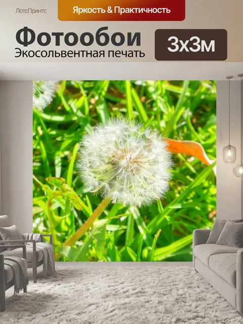 Фотообои Одуванчик цветёт