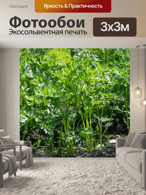Фотообои Морковь