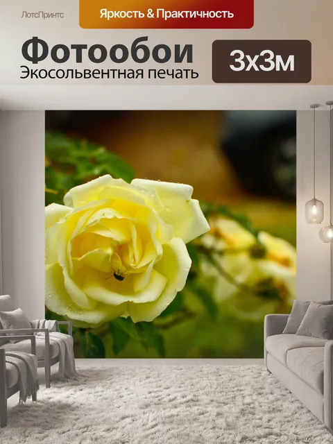 Фотообои Желтая роза