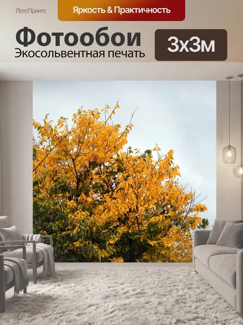 Фотообои дерево с желтыми листьями