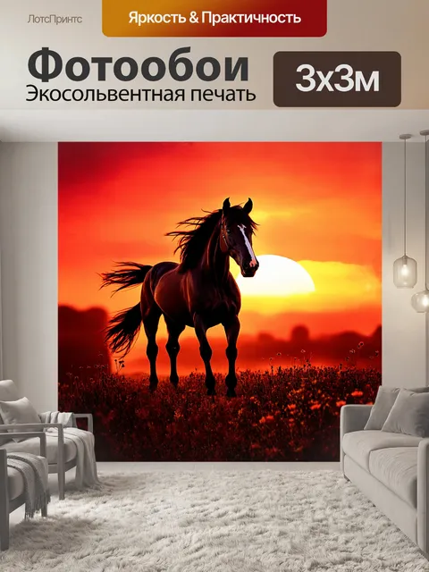 Фотообои жеребец с мощными мускулами