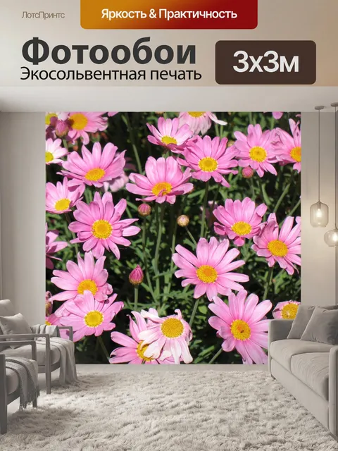 Фотообои Ромашки