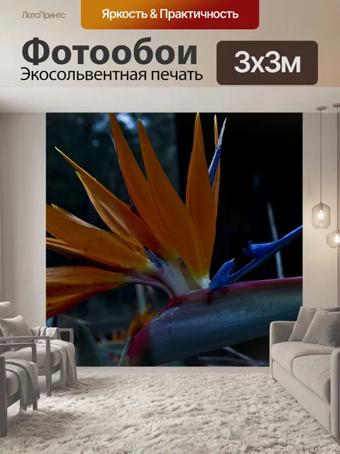 Фотообои Цветок