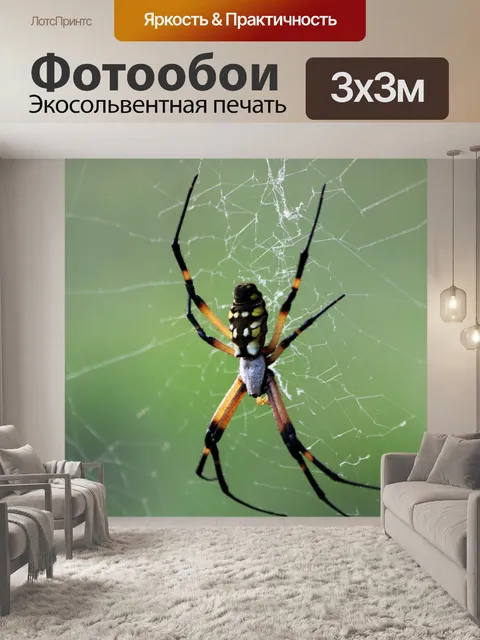 Фотообои Черный и желтый сад паук