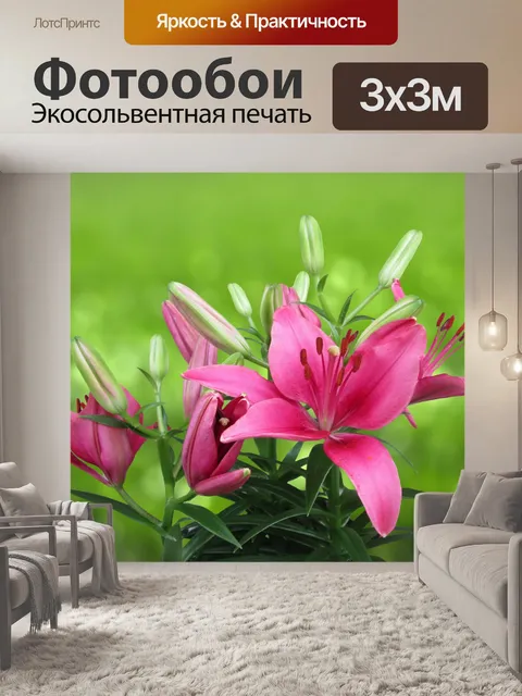 Фотообои Розовый цветок лилии