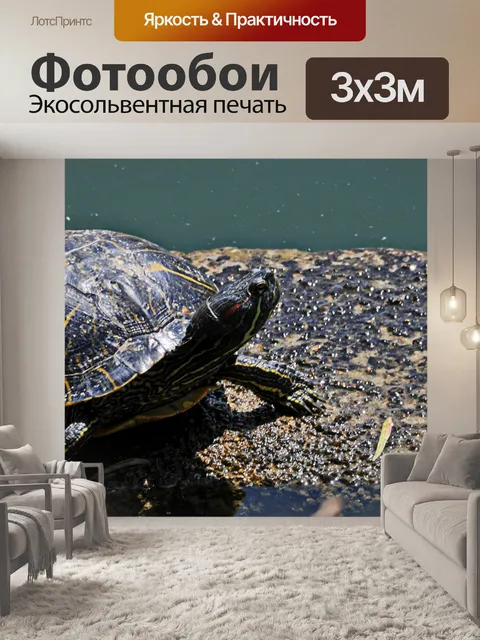 Фотообои Черепаха на берегу озера