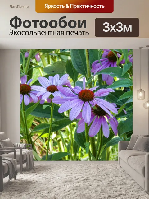 Фотообои Фиолетовые конусы