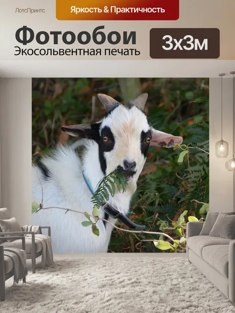 Фотообои Козел