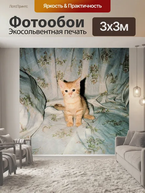 Фотообои Котенок Sitting On Throne