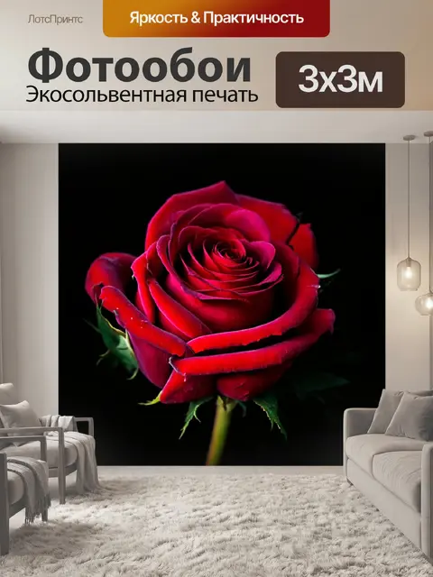 Фотообои розы в стиле нуар, создающие загадочное ощущение, будто они приходят из другой эпохи
