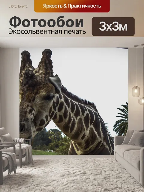 Фотообои Жираф в поисках пищи