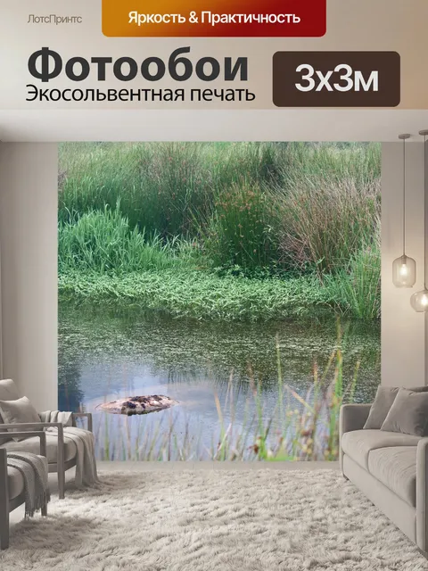 Фотообои камыши и камышы вокруг пруда