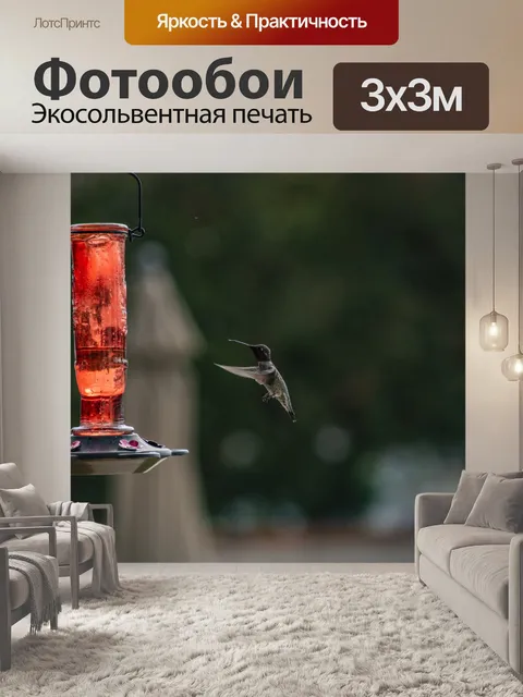 Фотообои Колибри в полете