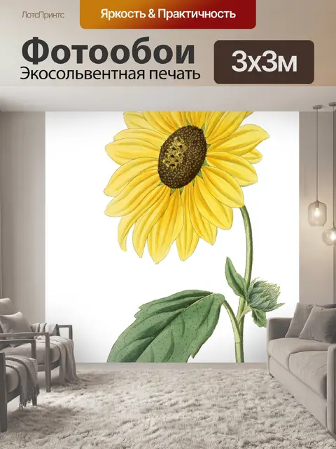 Фотообои Подсолнечник Винтаж Клипарт