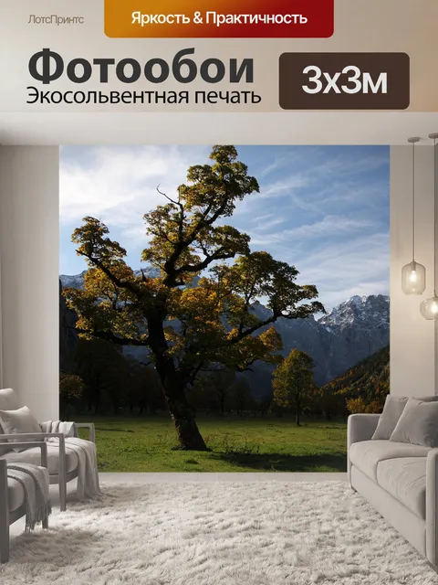 Фотообои Деревья