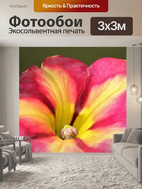 Фотообои Макро красной и желтой петунии