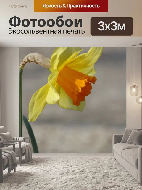 Фотообои Желтый нарцисс цветок