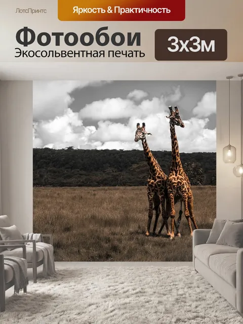 Фотообои Жираф