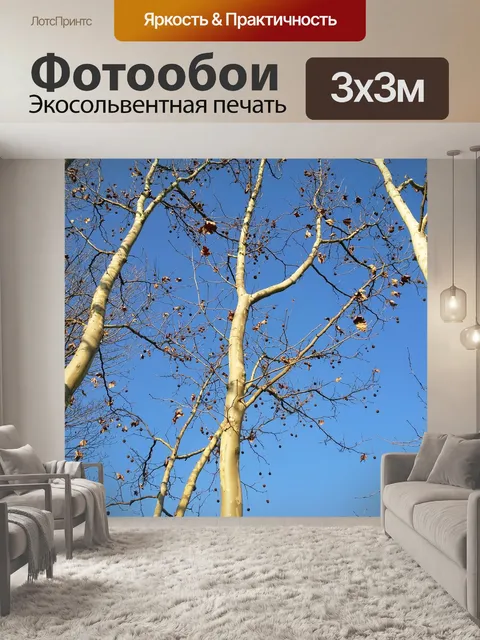 Фотообои Дерево
