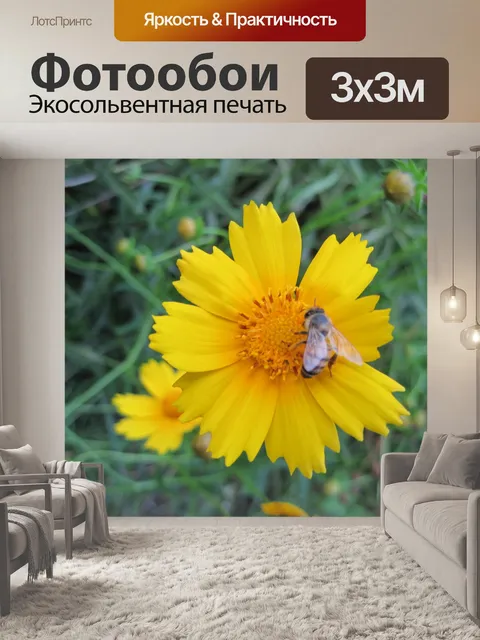 Фотообои пчела на желтый ромашки