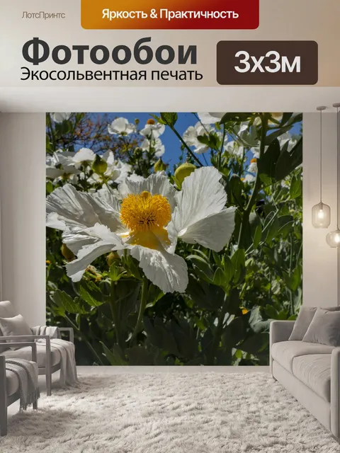 Фотообои Матилия Мак Макро