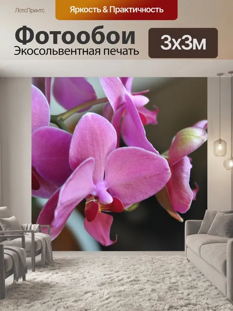 Фотообои Цветы