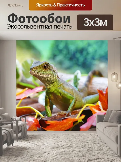 Фотообои Китайские воды дракон