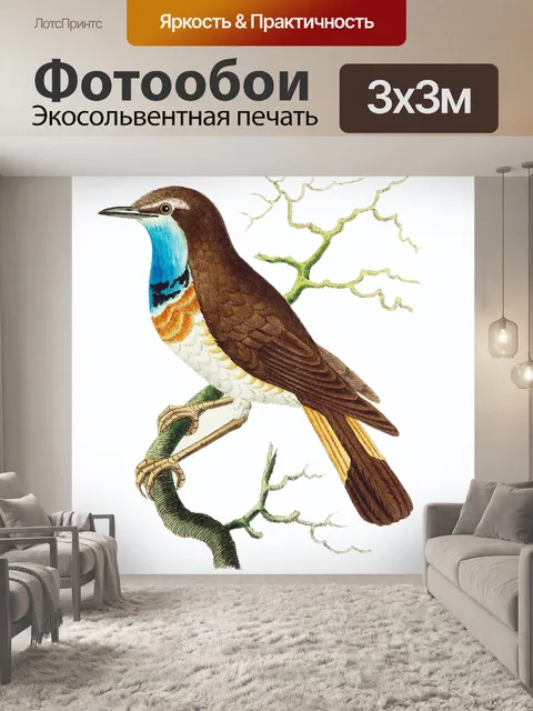 Фотообои Птица тропических старинных искусства