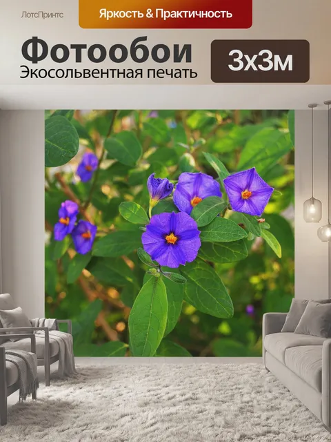 Фотообои Цветы сирени