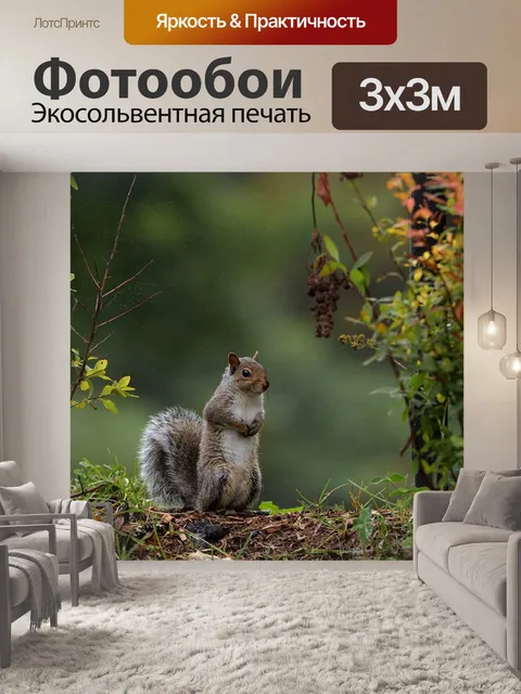 Фотообои Брызга