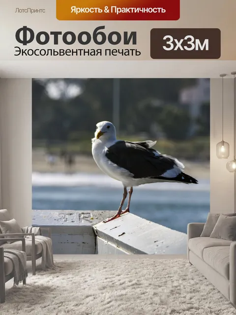 Фотообои Чайка на пирсе