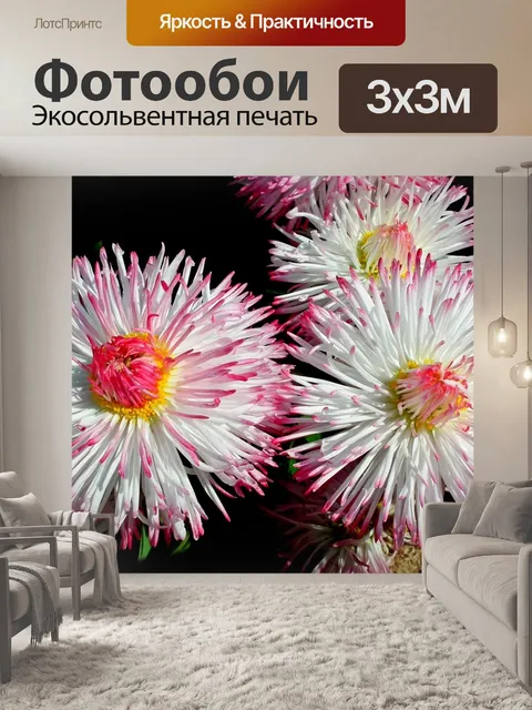 Фотообои Цветок