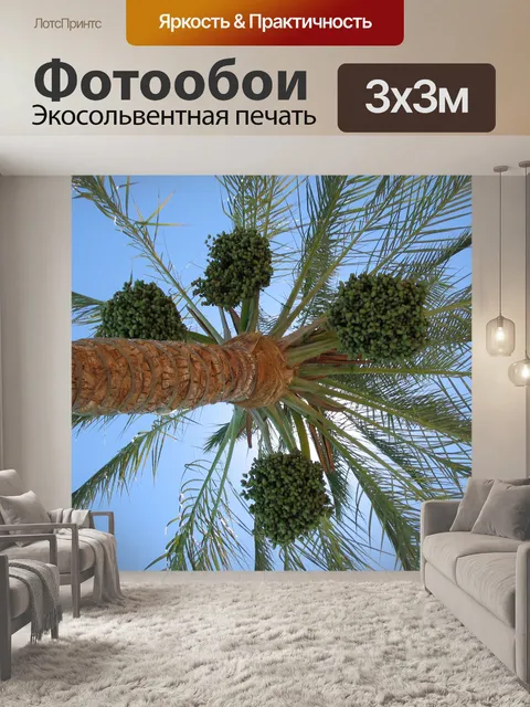 Фотообои Пальма с инжиром