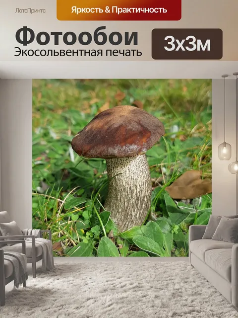 Фотообои Сбор