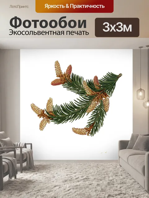 Фотообои Винтажный клипарт еловые ветки шишек