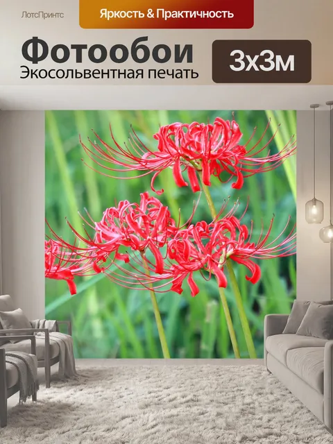 Фотообои Цветы